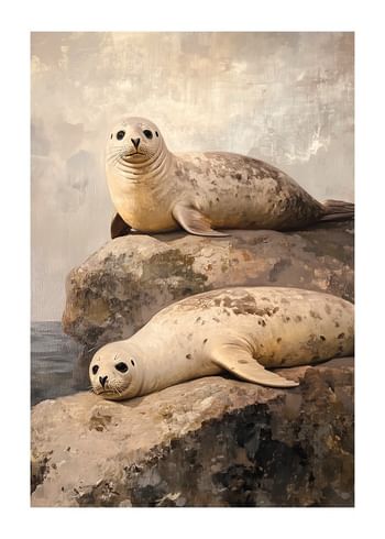 Poster Rocky Shore Seal Rest