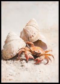 Un afiș cu un crab curios printre scoici de pe o plajă însorită de nisip-2