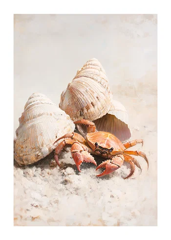 Poster Crabby Sandy Hideaway