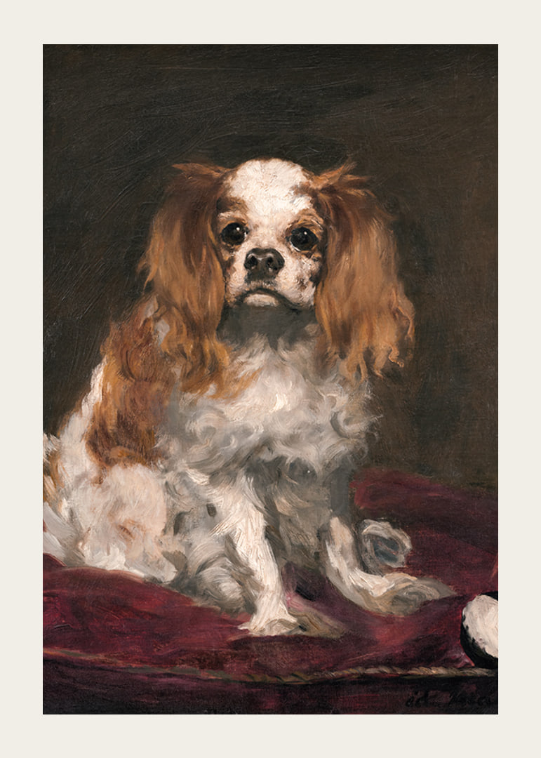 A King Charles Spaniel By Edouard Manet-12