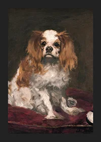 A King Charles Spaniel By Edouard Manet-7