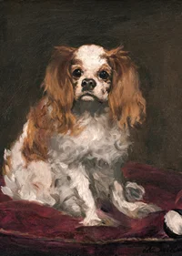A King Charles Spaniel By Edouard Manet-9