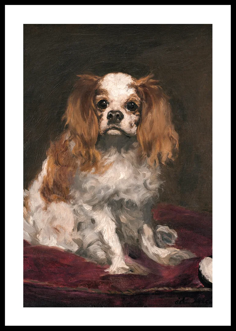 A King Charles Spaniel By Edouard Manet-12