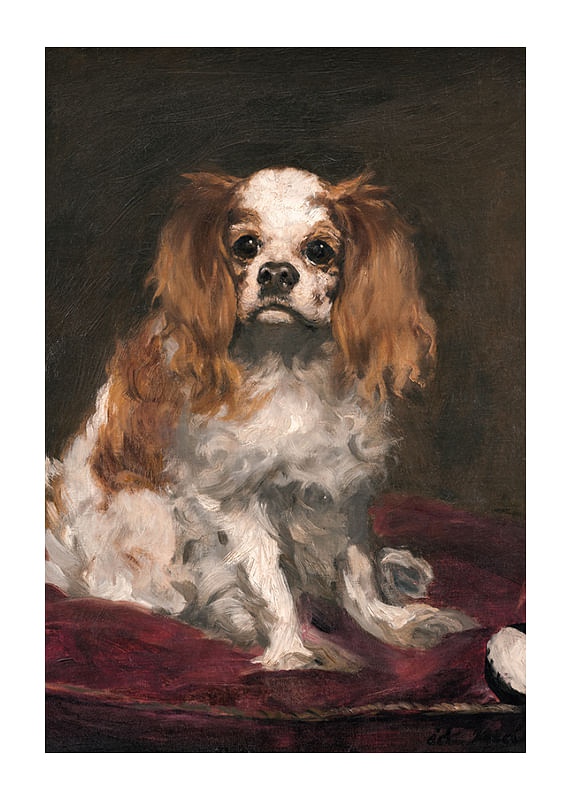 Plagát A King Charles Spaniel By Edouard Manet
