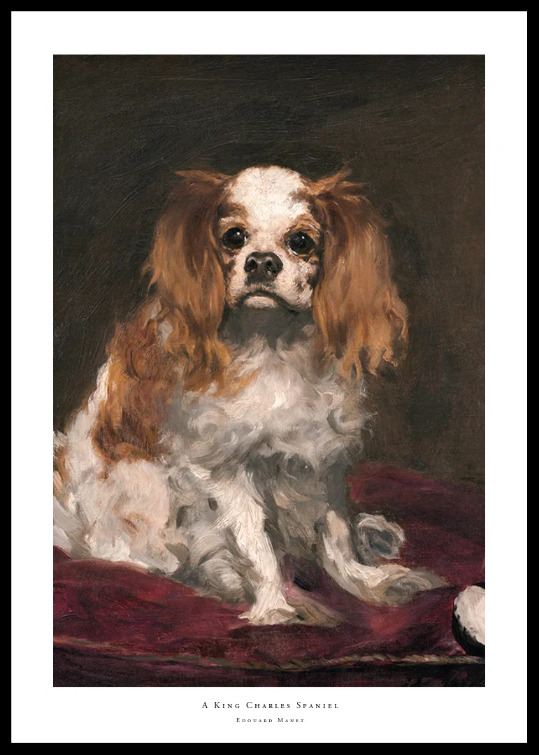 A King Charles Spaniel By Edouard Manet-12