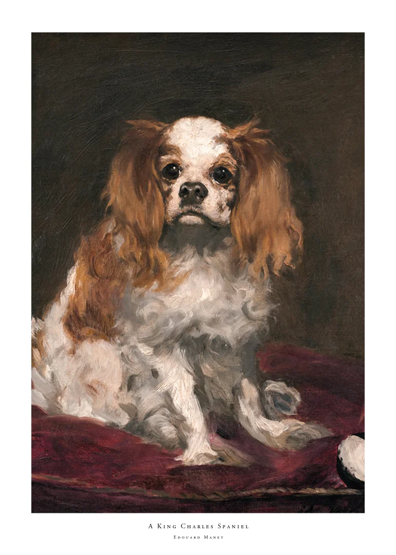 A King Charles Spaniel By Edouard Manet-12