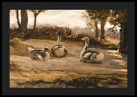 Husi od Elihu Veddera-6