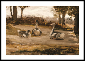 Affiche Geese By Elihu Vedder