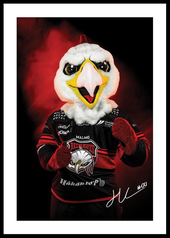 Poster Hawkan #00 Malmö Redhaws 2024/2025