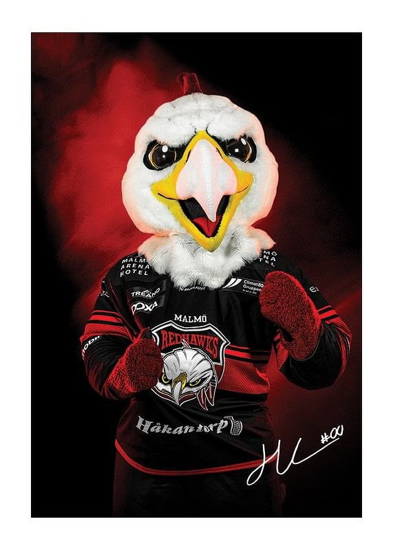 Poster Hawkan #00 Malmö Redhaws 2024/2025