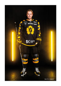 Mikkel Aagaard #29 Skellefteå AIK 2025/2026-1