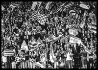 1982 SM-final Publik 02 Hammarby IF-2