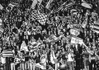 1982 SM-final Publik 02 Hammarby IF-5