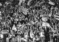 1982 SM-final Publik 02 Hammarby IF-3