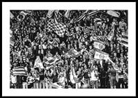 1982 SM-final Publik 02 Hammarby IF-2