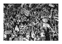 1982 SM-final Publik 02 Hammarby IF-3