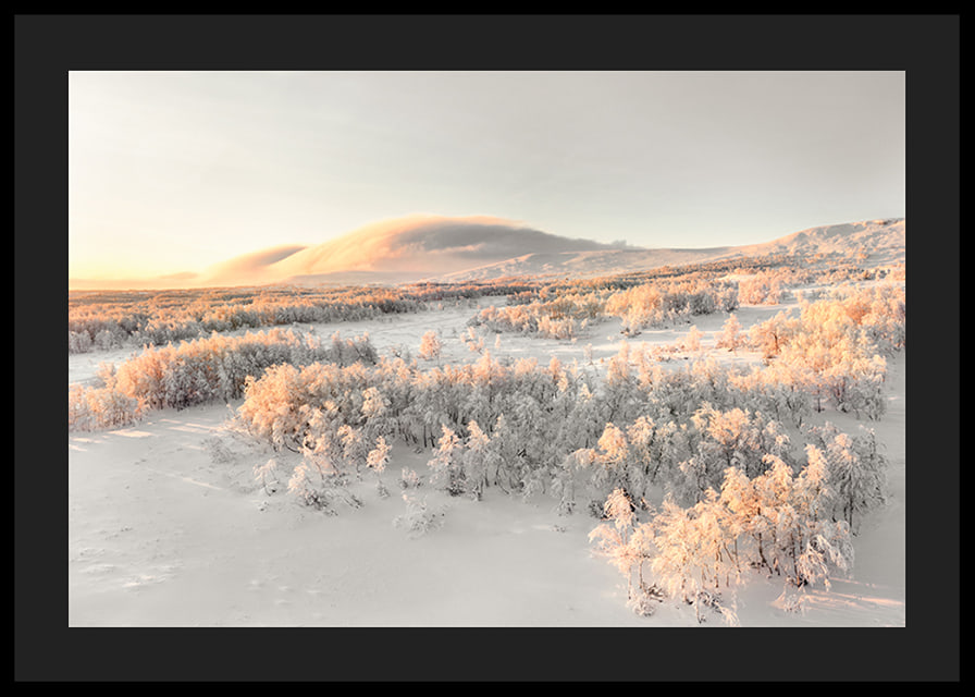 A frosty landscape is bathed in soft morning light, where the stillness of winter and the beauty of nature meet in harmony-12