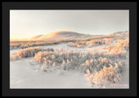 A frosty landscape is bathed in soft morning light, where the stillness of winter and the beauty of nature meet in harmony-4