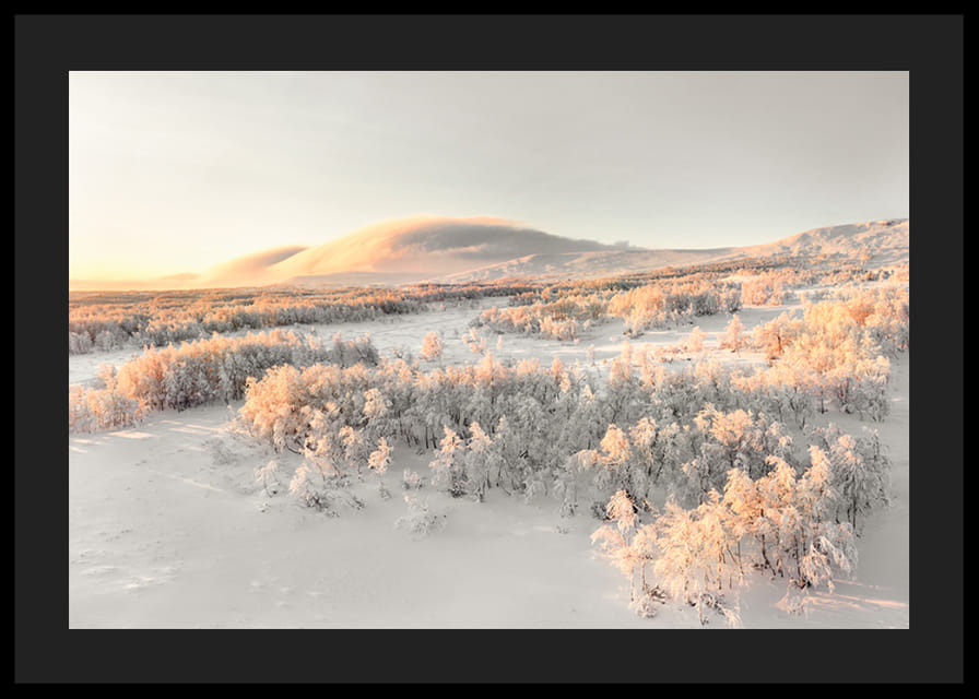 A frosty landscape is bathed in soft morning light, where the stillness of winter and the beauty of nature meet in harmony-12
