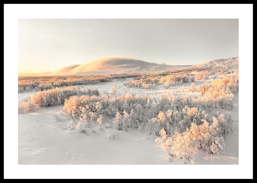 A frosty landscape is bathed in soft morning light, where the stillness of winter and the beauty of nature meet in harmony-12