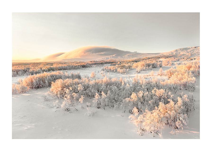 A frosty landscape is bathed in soft morning light, where the stillness of winter and the beauty of nature meet in harmony-12