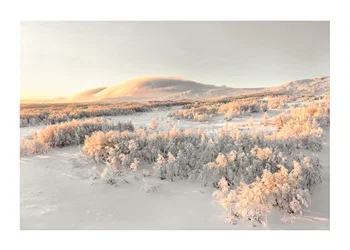Poster Frosted Horizon
