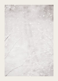 Morbidi fiocchi di neve cadono in un silenzioso paesaggio invernale, creando un senso di calma e magia-3