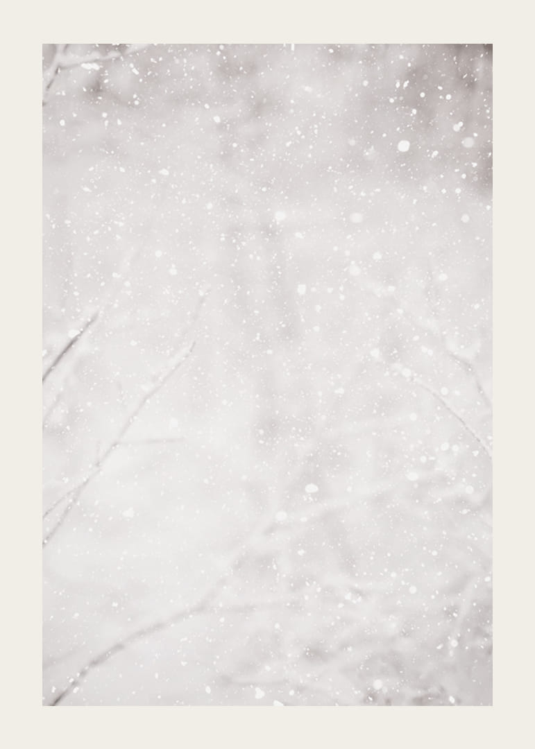 Soft snowflakes fall through a silent winter landscape, creating a sense of calm and magic-12
