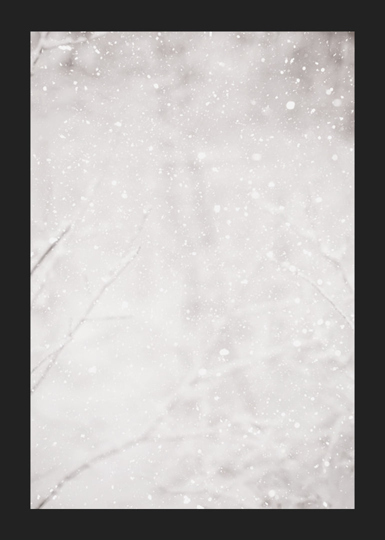 Morbidi fiocchi di neve cadono in un silenzioso paesaggio invernale, creando un senso di calma e magia-12