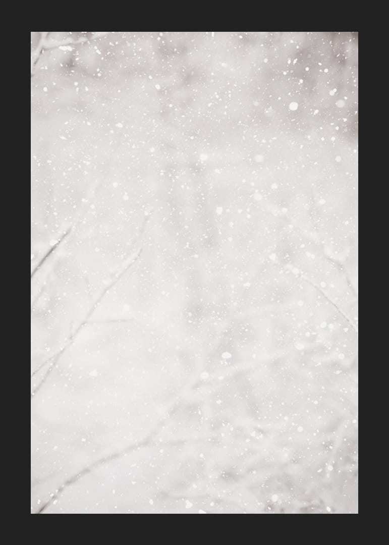 Soft snowflakes fall through a silent winter landscape, creating a sense of calm and magic-12