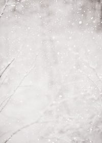 Morbidi fiocchi di neve cadono in un silenzioso paesaggio invernale, creando un senso di calma e magia-7