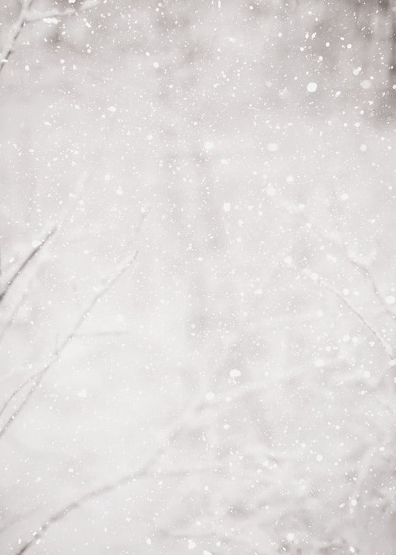 Morbidi fiocchi di neve cadono in un silenzioso paesaggio invernale, creando un senso di calma e magia-12