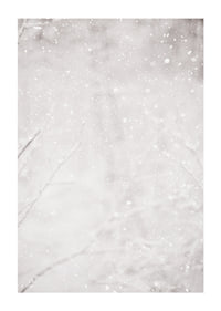 Morbidi fiocchi di neve cadono in un silenzioso paesaggio invernale, creando un senso di calma e magia-1
