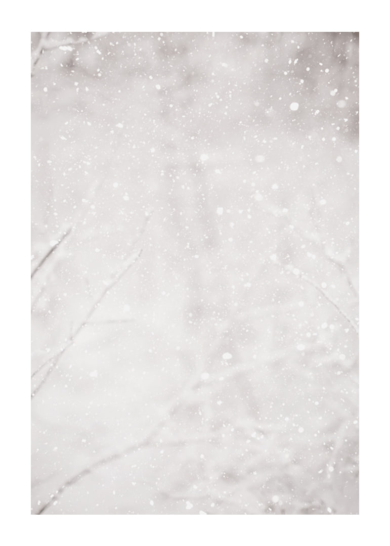 Morbidi fiocchi di neve cadono in un silenzioso paesaggio invernale, creando un senso di calma e magia-12