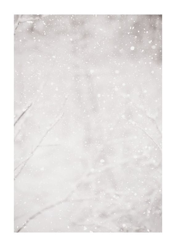 Poster Silent Snowfall