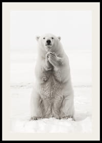 En ståtlig isbjörn står upprätt i det vita arktiska landskapet, som en symbol för styrka och naturens skönhet-2