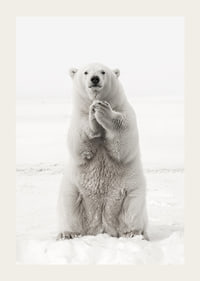 Ein majestätischer Eisbär steht aufrecht in der weißen arktischen Landschaft, als Symbol für Stärke und die Schönheit der Natur-3