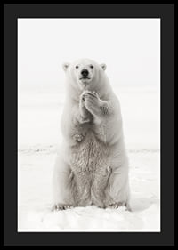 Ein majestätischer Eisbär steht aufrecht in der weißen arktischen Landschaft, als Symbol für Stärke und die Schönheit der Natur-4
