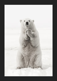 Ein majestätischer Eisbär steht aufrecht in der weißen arktischen Landschaft, als Symbol für Stärke und die Schönheit der Natur-5