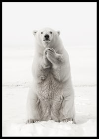 Ein majestätischer Eisbär steht aufrecht in der weißen arktischen Landschaft, als Symbol für Stärke und die Schönheit der Natur-6