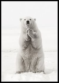 Un urs polar maiestuos stă în picioare în peisajul alb al Arctic, ca simbol al forței și al frumuseții naturii-2