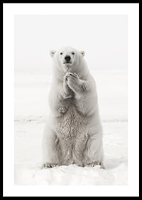 Ein majestätischer Eisbär steht aufrecht in der weißen arktischen Landschaft, als Symbol für Stärke und die Schönheit der Natur-0