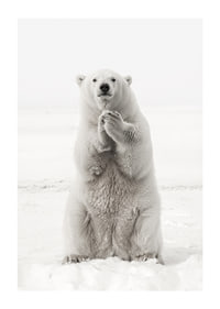 Ein majestätischer Eisbär steht aufrecht in der weißen arktischen Landschaft, als Symbol für Stärke und die Schönheit der Natur-1