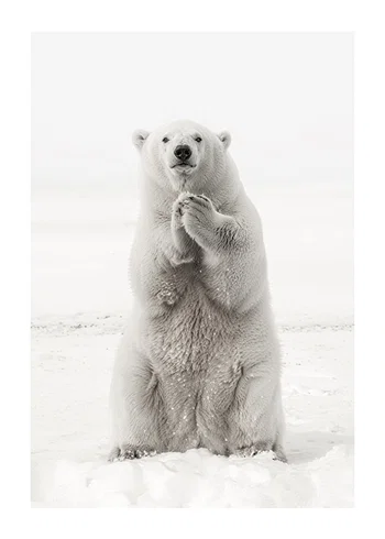 Poster Winters Embrace
