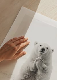 Ein majestätischer Eisbär steht aufrecht in der weißen arktischen Landschaft, als Symbol für Stärke und die Schönheit der Natur-9