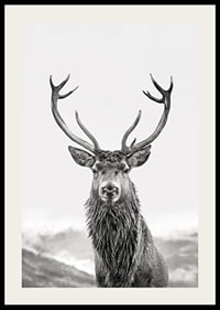 A proud deer with mighty antlers stands in its natural environment, symbolizing nature's timeless elegance and strength-2