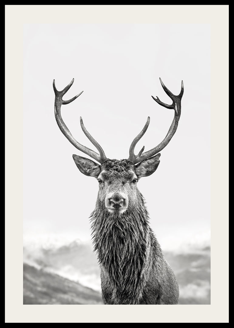 A proud deer with mighty antlers stands in its natural environment, symbolizing nature's timeless elegance and strength-12