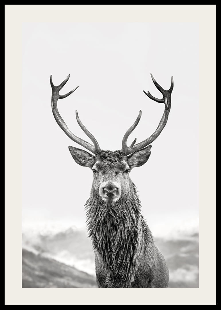 A proud deer with mighty antlers stands in its natural environment, symbolizing nature's timeless elegance and strength-12