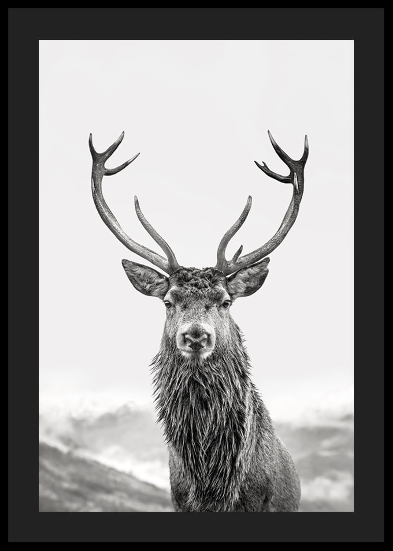 A proud deer with mighty antlers stands in its natural environment, symbolizing nature's timeless elegance and strength-12