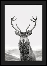 A proud deer with mighty antlers stands in its natural environment, symbolizing nature's timeless elegance and strength-4